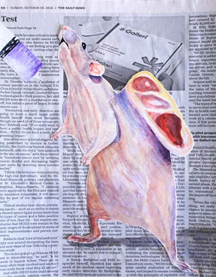 Newspaper and watercolor study of the Vacanti mouse with an ear-shaped form