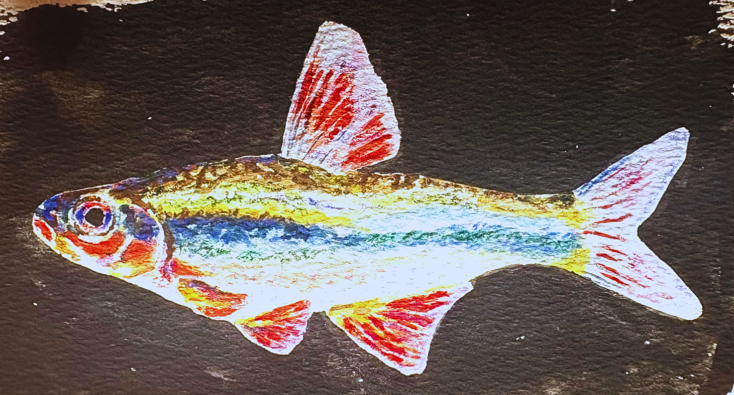 Colorful fish artwork